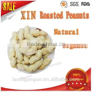 Popular Snack Health Food Roasted Peanuts Wholesale Peanuts Roasted Peanut With Shell thumbnail-1
