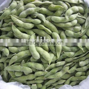 Frozen Edamame thumbnail-1