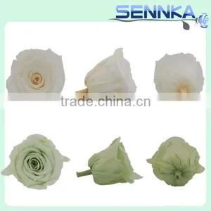 Preserved Fresh Flower Home Decoration Wedding Gifts Wholesale thumbnail-1