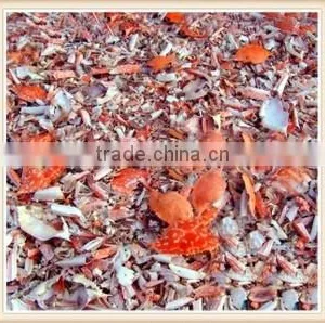Chitosan Nematicide Liquid Agriculture Seaweed Fertilizer thumbnail-4