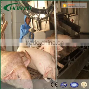 Customized Pig Slaughtering Line Equipment Machine For Slaughterhouse Abattoir Project thumbnail-2