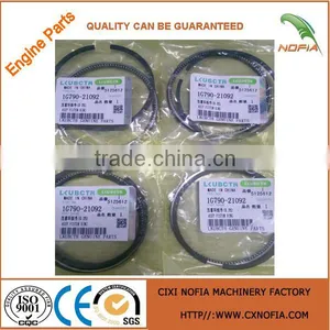 Assy Piston Ring 1G790-21092 Piston Ring Piston Ring 0.25 V2203 Piston Ring thumbnail-3