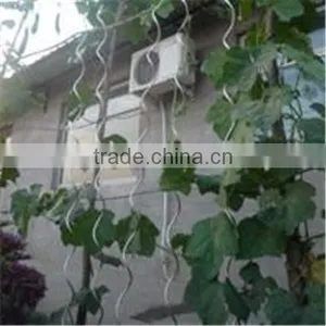 Plant Climbing Wire/vegetable Wire/iron Spiral Tomato Stakes thumbnail-1