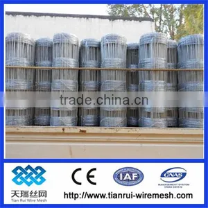 Hot Dipped Galvanized Grassland Fence thumbnail-1
