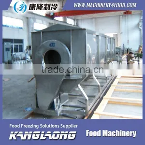 1000Kg/H Strawberry Blanching Machine thumbnail-1