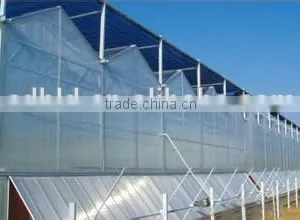BaoLiDa High Quality PC Covered Greenhouse Hot-dip Galvanized Steel Framework Structure Greenhouse thumbnail-3