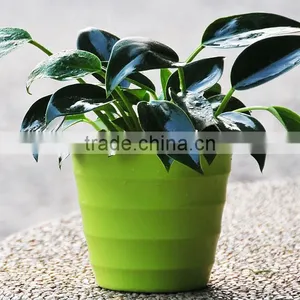 Garden Supplies Attractive Colorful Plastic Wholesale Flower Pots thumbnail-2