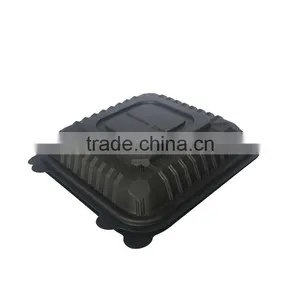 CB024 Biodegradable Disposable Eco-friendly Cornstarch Food Container thumbnail-2