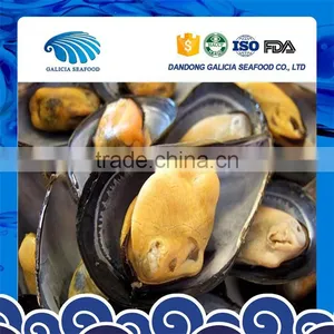 Fresh Frozen Mussels Meat With Half Shell With Good Services thumbnail-1