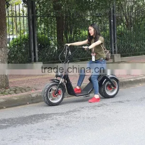Baogl Latest 800w-1500w Hoverboard Electric Citycoco Scooter thumbnail-1