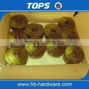 Galvanized Twisted/Ring Shank Coil Nails thumbnail-6