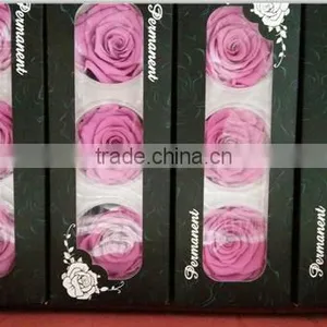 Everlasting Rose A Grade 6 to 7 cm Preserved Rose From Yunnan thumbnail-3