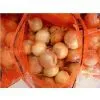 Fresh Onion thumbnail-1