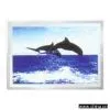 Sell Motion Picture thumbnail-1