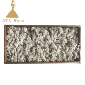 Creative Interior Decoration With Stabilized Lichen thumbnail-1