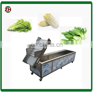 Fruit and Vegetable Processing Machines/food Production Line Equipment/fruit And Vegetable Washing Machine thumbnail-5