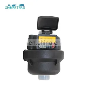 15mm to 25mm Digital Volumetric Rotary Piston Types Water Flowmeters thumbnail-7