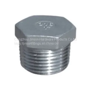 HEX PLUG Threaded Fitting Stainless Steel Hexagon Plug Wholesale thumbnail-1