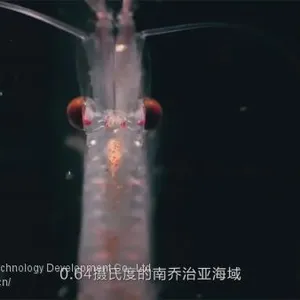 Krill Oil S90 thumbnail-3