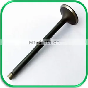 Cross-country Spare Parts Engine Valve for Izuzu Bighorn Ubs69 4XJ1 4JG2 4ZE1 thumbnail-5