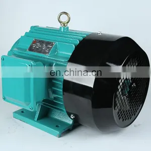 High Quality Cast Iron 3 Phase 7.5 kw 10 hp 10hp Electric Motor Price thumbnail-2