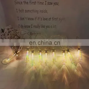 Wholesale High Quality Holiday Decoration Grass Bottle Battery Operated Led Wishing Bottle String Fairy Light For Party Home thumbnail-2
