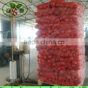Low Price Fresh Red Onion Packing In Mesh Bag Cheap Onion thumbnail-1