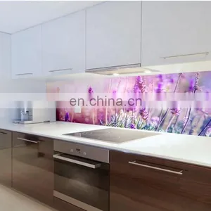 Customized 6mm Printed Glass Splash Back Kitchen Sink Glass Splashback thumbnail-2