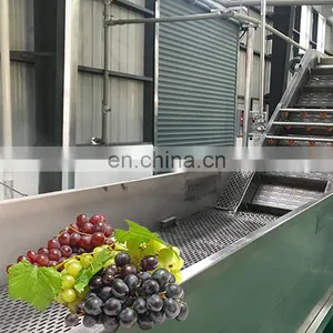 Manufacture Fruit Juicer Extractor and Processing Machine Production Line thumbnail-4