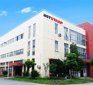 Huzhou Best Packaging Technology Co., Ltd company overview - view 1 thumbnail