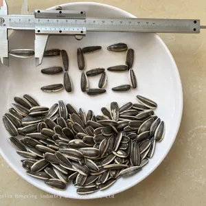 Striped Sunflower Seeds Raw in Shell Confectionery thumbnail-3