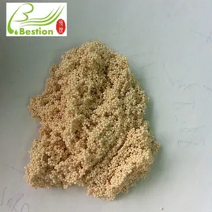 Lactic Acid Decolorizing Resin thumbnail-3