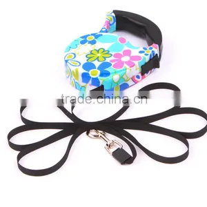 Color TPE Friendly Stock Automatic Retractable Drawing Line Best Retractable Dog Leash thumbnail-4