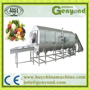 Steam Blanching Machine for Vegetable and Fruit Processing thumbnail-2