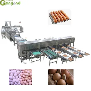 Genyond Egg Washing Grading Packing Equipment Good Price thumbnail-6