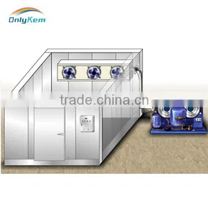 Small Cold Room for Family Keep Apple Fresh thumbnail-2