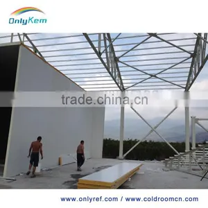 PU Foam Sandwich Panel for Cold Room Building thumbnail-2