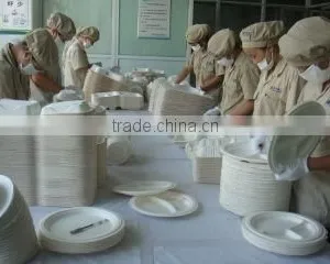 Wenzhou Keyi Environmental Protection Tableware Co., Ltd. company overview - view 2 thumbnail