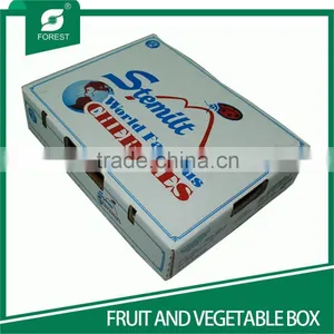 NEW STYLE WHITE CORRUGATED FRUITS PACKAGING BOXES WITH HOILES thumbnail-3