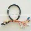 Custom Wiring Harness thumbnail-1