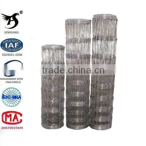 Anping Wholesale Cattle Yard thumbnail-1