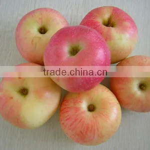 Royal Gala Apple(fresh Apple) thumbnail-1