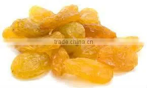 Jumbo Yellow Raisin thumbnail-1