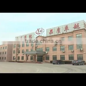 Guangrao Yongzheng Auto Parts Co., Ltd. company overview - view 1 thumbnail