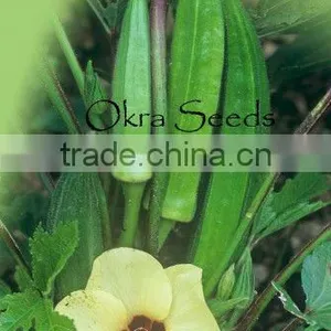 OKRA SEEDS ( SAFA BRAND) thumbnail-1