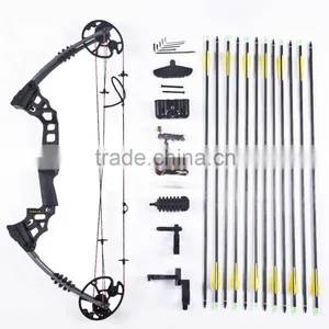 China Hunting M120 Compound Bow Discounts Best Price thumbnail-2