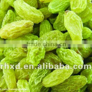 Green Raisin thumbnail-1