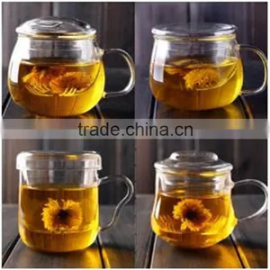 All Kinds of Tea Pot Mouth-blowing Heat Resistant Borosilicate Glass Tea Pot With Handle and Filter thumbnail-1