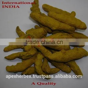 Turmeric Fingers Whole Spice / Turmeric / Curcuma Longa Fingers thumbnail-2