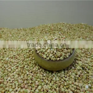 Good Manufacture of Raw Buckwheat Kernel Crop 2016 thumbnail-5